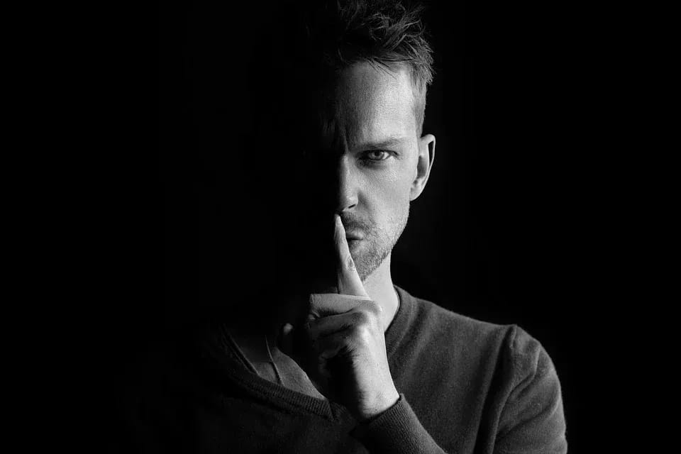 Article Teaser
